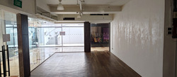 Peninsula Shopping Complex (D6), Retail #533090131
